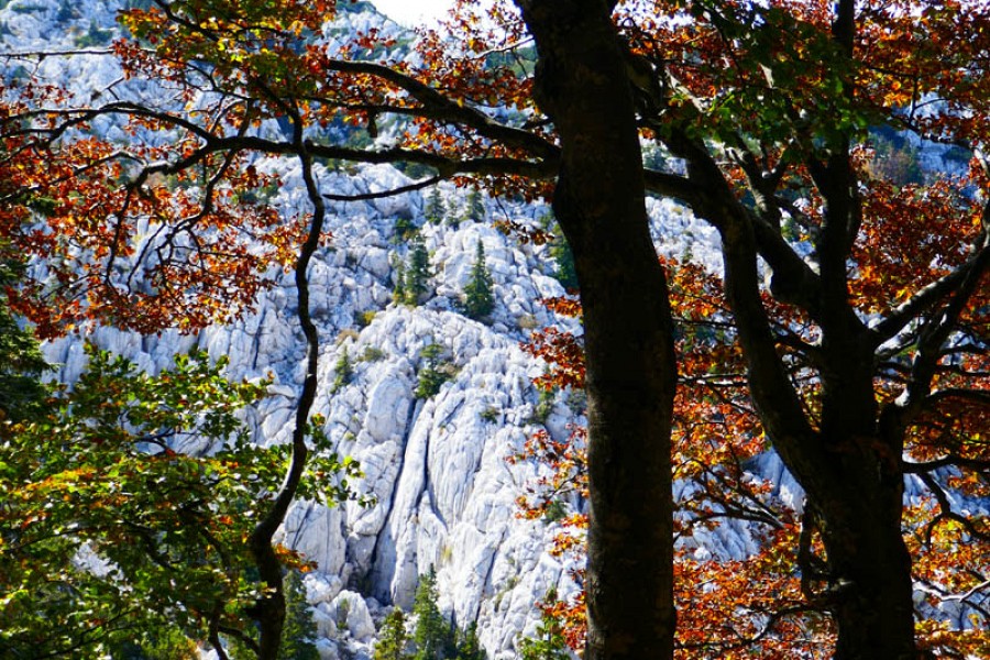 Velebit 08 Velebit 08
